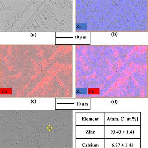 A SEM Image Of Zn 1Ca B D Colour Maps For EDS Elemental Analysis