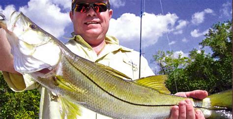 Sarasota Bay Fishing Spots Gps Coordinates For Redfish Snook Trout