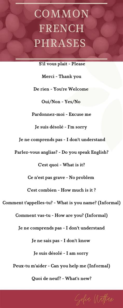 French For Beginners Common French Phrases Basic French Words Common