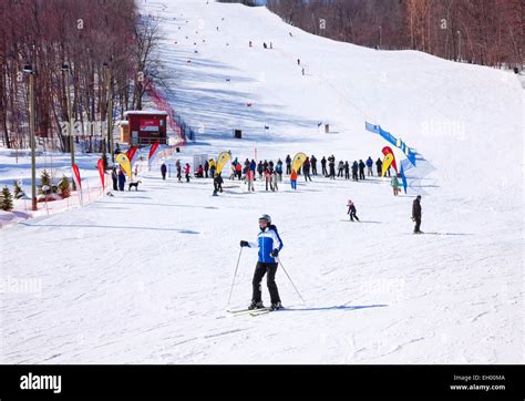 Alpine Ski Resort Collingwood Big Blue Ontario S Premier Ski Resort