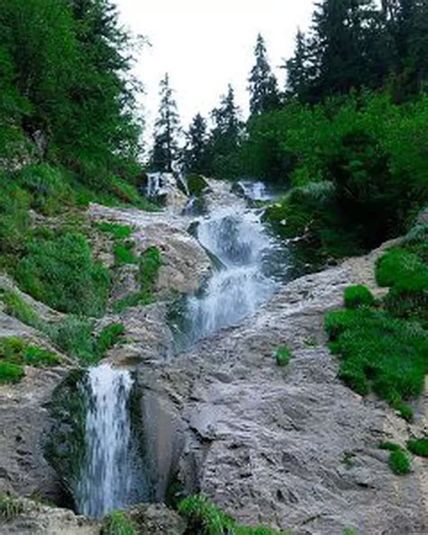 Cascada Cailor din Borșa Cum ajungi la cea mai înaltă cascadă din