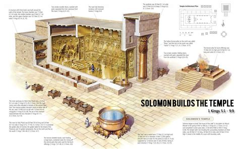 Solomon Builds the Temple | Solomons temple, The tabernacle, Esv study bible