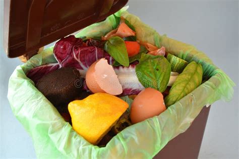 Trash Bin Full Of Organic Waste Stock Photo Image Of Decompose