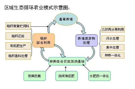 几种常见的生态循环农业模式 农机新闻网