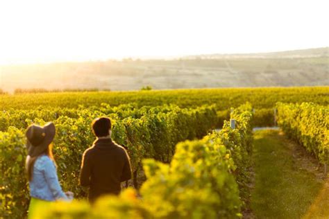 Prince Edward County Wineries Your 11 Best Options