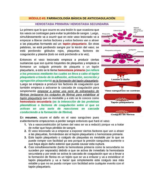 Solution M Dulo Para El Parcial De Farmacolog A Studypool