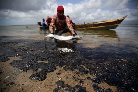 Petroleo Nas Praias Do Nordeste O Maior Desastre Ambiental Da