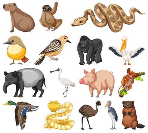 Free Vector | Different kinds of animals collection