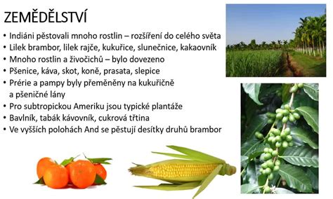 Severní Amerika - charakteristiky obyvatelstva, sídel a hospodářství ...