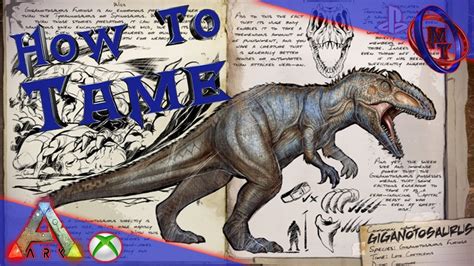 Ark Survival Evolved How To Tame Giganotosaurus Youtube