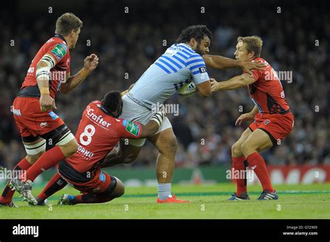 Rc toulons jonny wilkinson heineken cup final millennium stadium hi-res ...