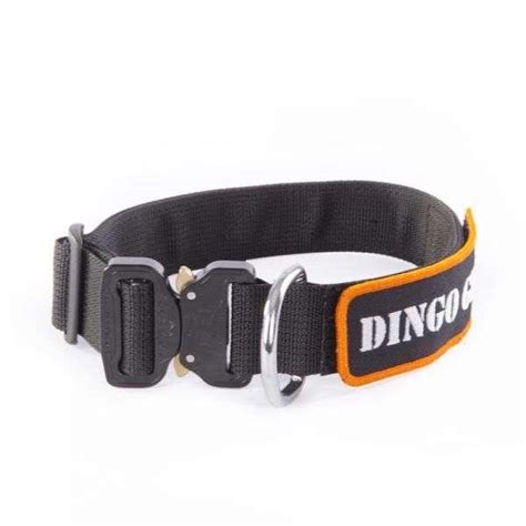 Collar Nylon Con Cierre Cobra Dingo Gear Wds Tecnic Equipment