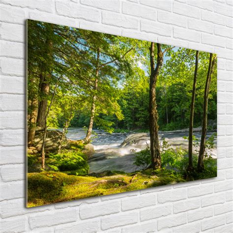 Union Rustic Glasbild Fluss Im Wald Wayfair De