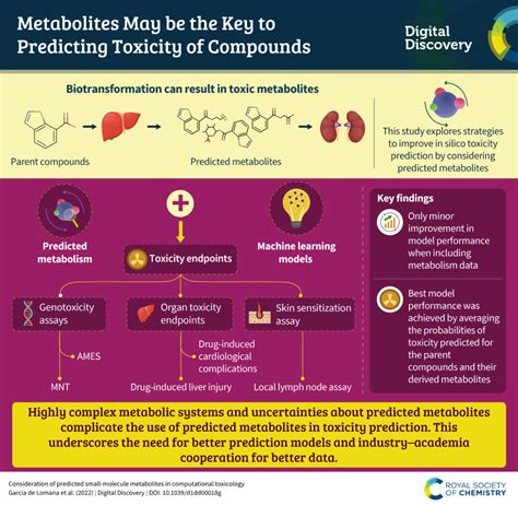 Research Infographic Consideration Of Predicted Small Molecule