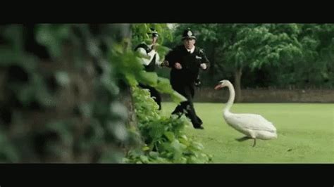 Hotfuzz Swan GIF - Hotfuzz Swan HotFuzzSwan - Discover & Share GIFs