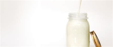 arla lactofree   feels good arla uk