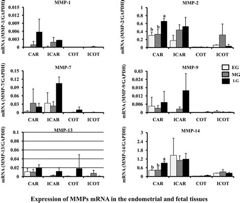 Expression Profile Of Mmps Mrna In The Bovine Endometrial And Fetal