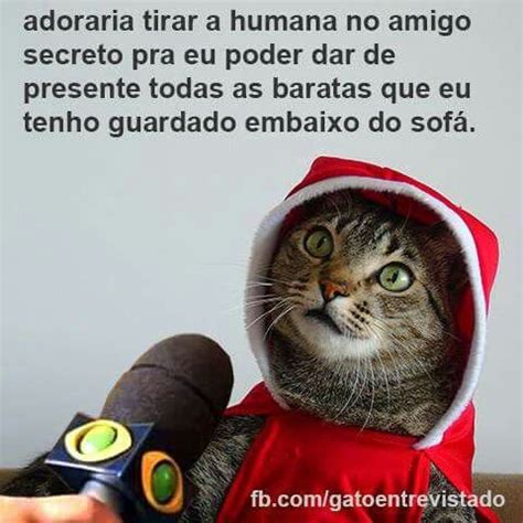 Pin De Maria Do Carmo H Da Silva Em Gatinho Reclam O Gato Engra Ado