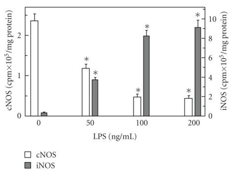 Effect Of P Gingivalis Lps On The Expression Of Inducible Inos And