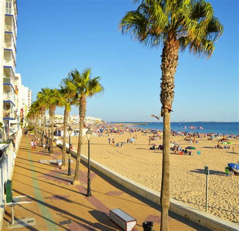 Promenade of Rota Beach, Cadiz, Andalusia, Spain Stock Photo - Image of relax, tree: 225834168