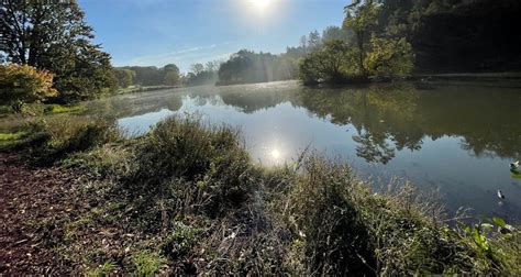 The Morton Arboretum - Go Wandering