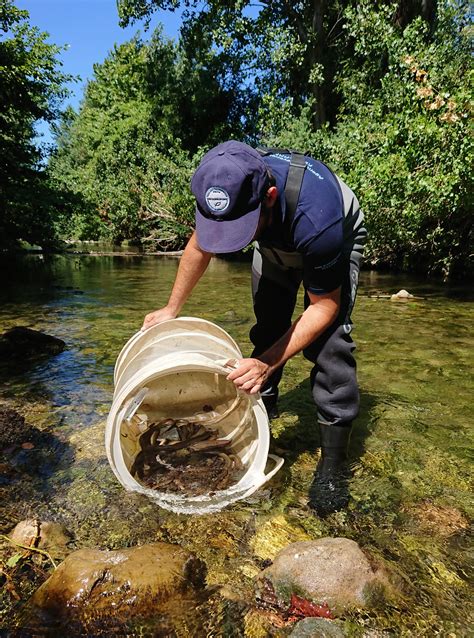 Protection des Milieux Aquatiques Fédération de pêche de l Aude