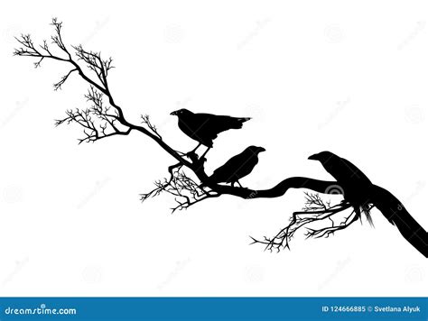 Raven Birds On Tree Branch Silhouette Design Stock Vector