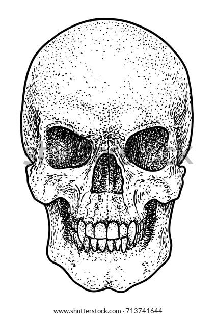 Scary Skull Drawings