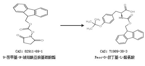 71989 38 3 Fmoc O 叔丁基 L 酪氨酸现货