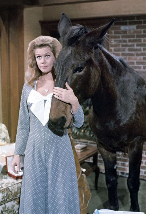 Elizabeth Montgomery - Bewitched Photo (43162196) - Fanpop