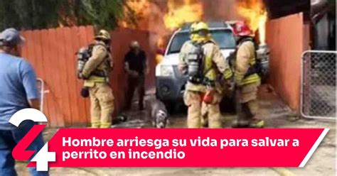 Hombre Arriesga Su Vida Para Salvar A Perrito En Incendio Noticias Siete