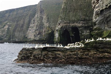 Isle of Noss - Hidden Scotland