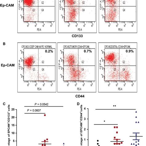 Flow Cytometry Analysis Of CD133 CD44 And EpCAM Cell Surface Markers