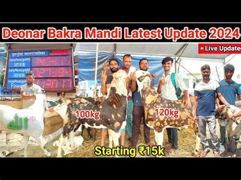 Deonar Bakra Mandi Latest Update 2024 Deonar Bakra Mandi Today Live