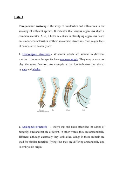 تشريح مقارن عملي Lab 1 Comparative Anatomy Is The Study Of