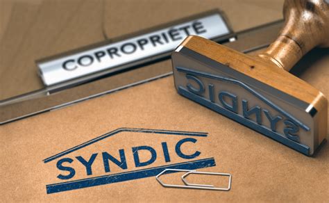 Habilitation Du Syndic De Copropriété Pour Agir En Justice Rappel De