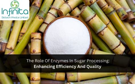 Enzymes In Sugar Processing Efficiency Quality