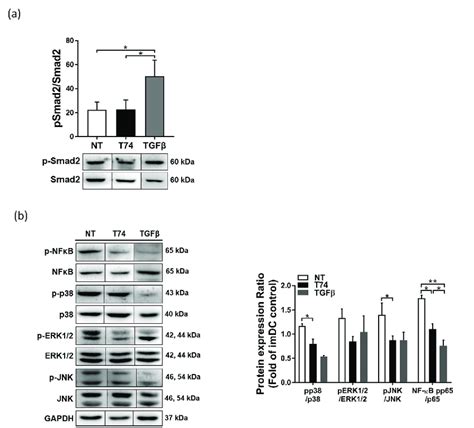 Mdc Markers Pdlim And Rsad Were Downregulated In T Dcs A