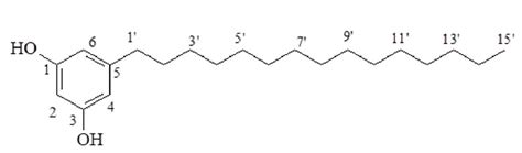 Chemical Structure Of The Isolated Substance 5 Pentadecyl Resorcinol Download Scientific