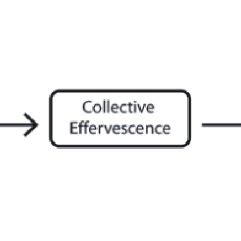 Interaction Ritual Chains Adapted From Collins 2004 Rossner Meher