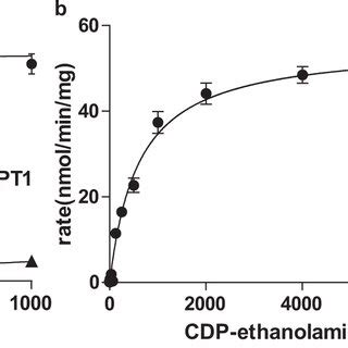 Dimerization interface a–b Dimeric xlCHPT1 structure is shown as ... 