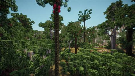 Rainforest Biome Custom Terrain Minecraft Map