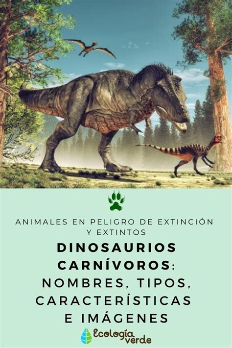 Dinosaurios Carn Voros Nombres Tipos Caracter Sticas E Im Genes