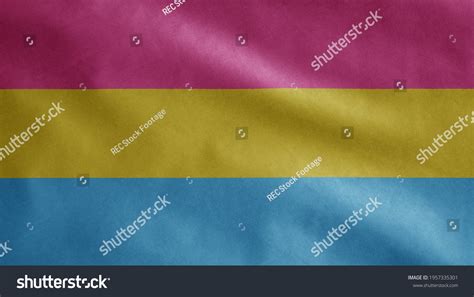 Pansexuality Flag Waving Wind Close Pansexual Foto De Stock 1957335301