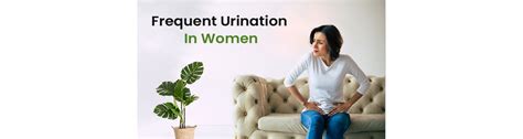 Frequent Urination In Women 10 Potential Causes And Treatment