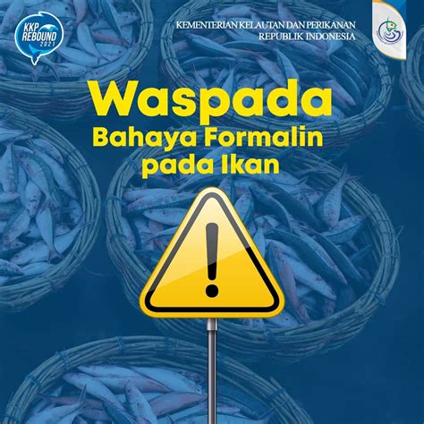 Direktorat Jenderal Perikanan Tangkap Kkp Kementerian Kelautan Dan