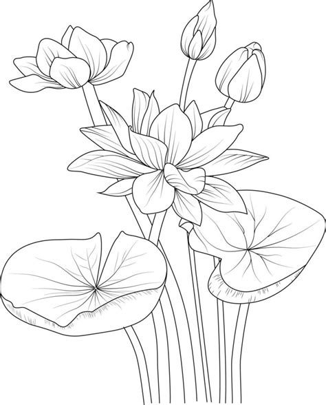 Coloring Pages For Adults Hand Drawn Waterlily Flower Bouquet Of Lotus