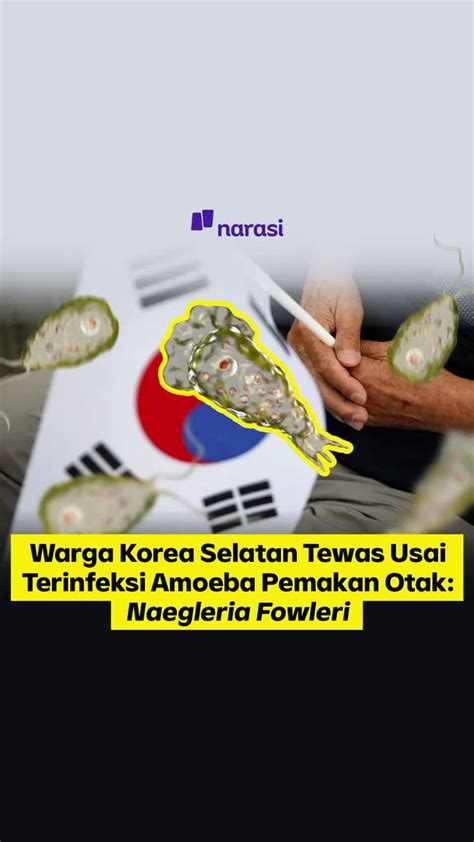 Narasi Newsroom On Twitter Amoeba Pemakan Otak Ini Apa Lagiiiii