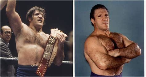 The Death And Legacy Of Wwe Legend Bruno Sammartino Explained