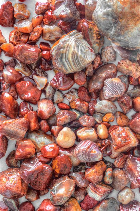 Lake Superior Agates Are The State Gem Of Minnesota Photograph By Jacob